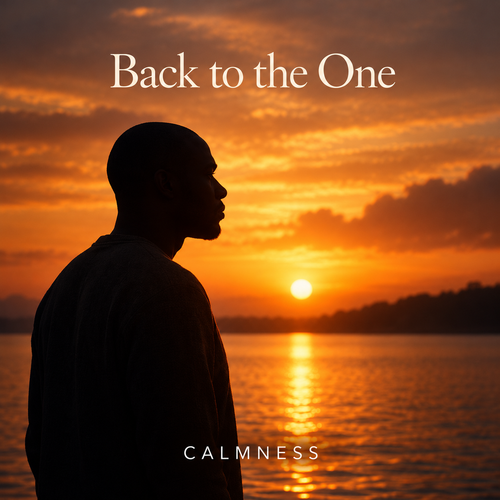Back to the One by Calmness album cover